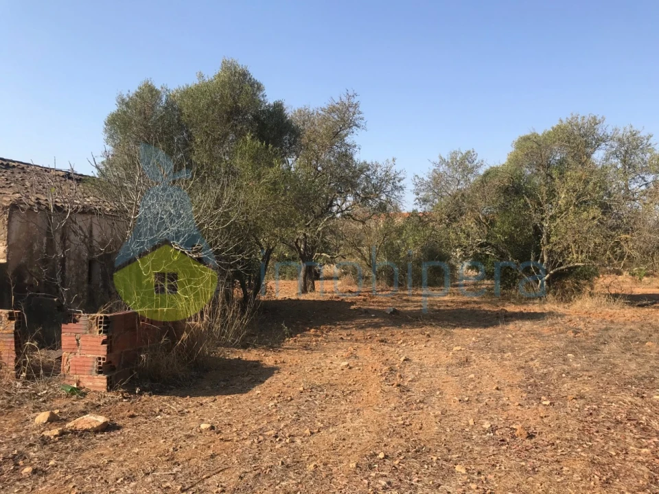 Terreno Misto para Venda em Algoz e Tunes Foto 21