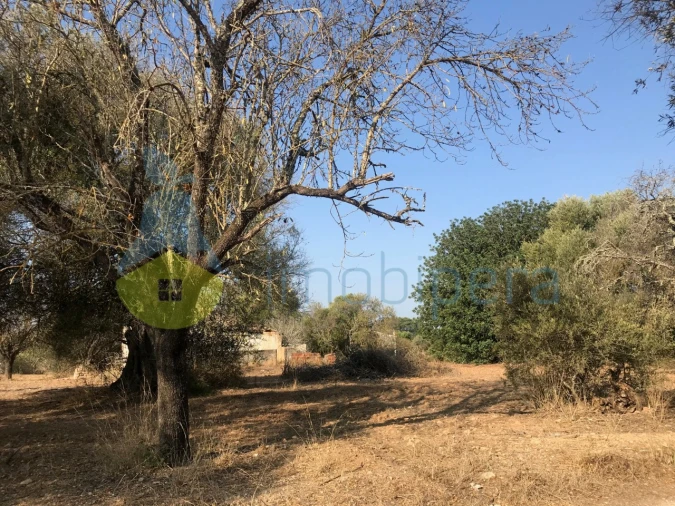Terreno Misto para Venda em Algoz e Tunes Foto 10