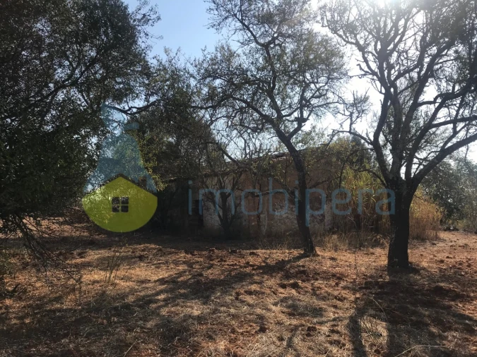 Terreno Misto para Venda em Algoz e Tunes Foto 20