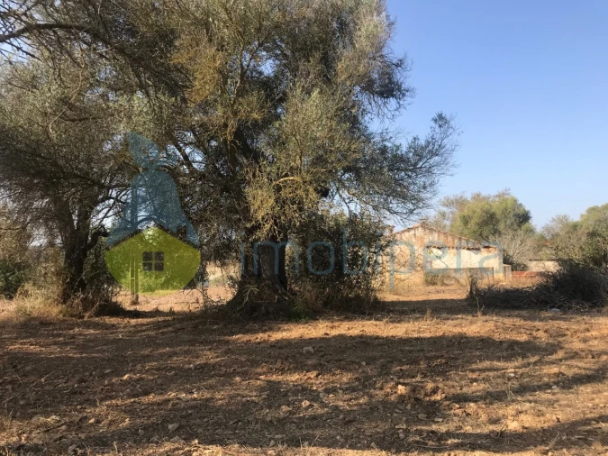 Terreno Misto para Venda em Algoz e Tunes Foto 23