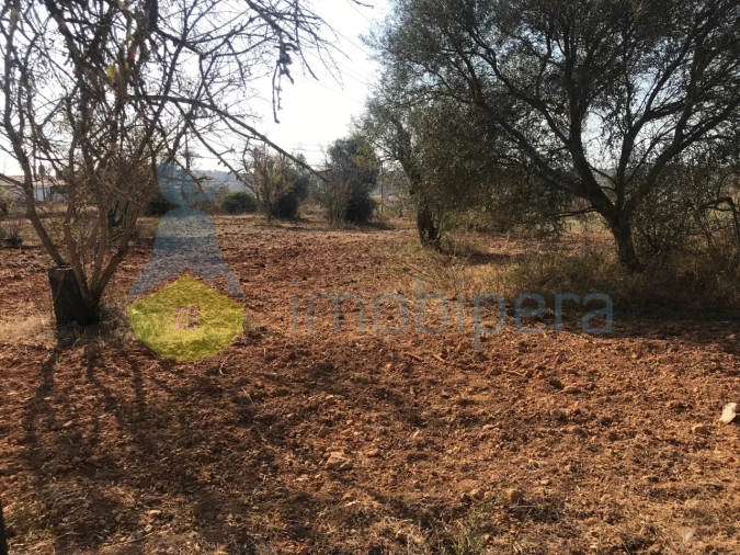 Terreno Misto para Venda em Algoz e Tunes Foto 24