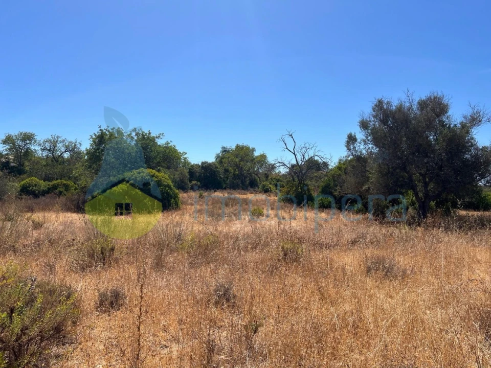 Terreno Agricola ou Rústico para Venda em Ferreiras Foto 6