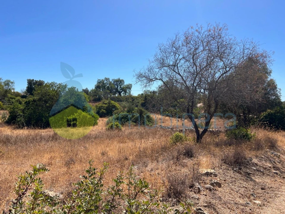 Terreno Agricola ou Rústico para Venda em Ferreiras Foto 11