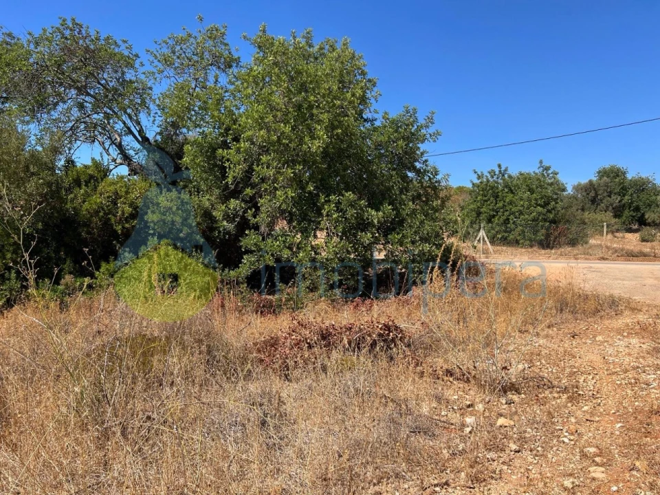 Terreno Agricola ou Rústico para Venda em Ferreiras Foto 14