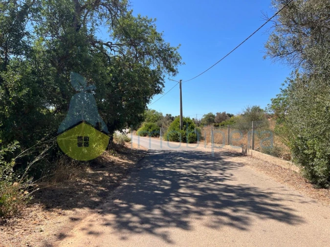 Terreno Agricola ou Rústico para Venda em Ferreiras Foto 2