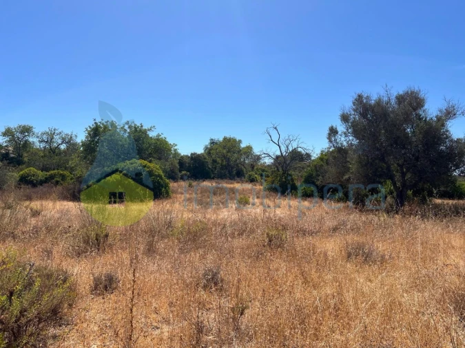 Terreno Agricola ou Rústico para Venda em Ferreiras Foto 6