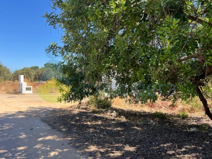Terreno Agricola ou Rústico para Venda em Ferreiras Foto 7
