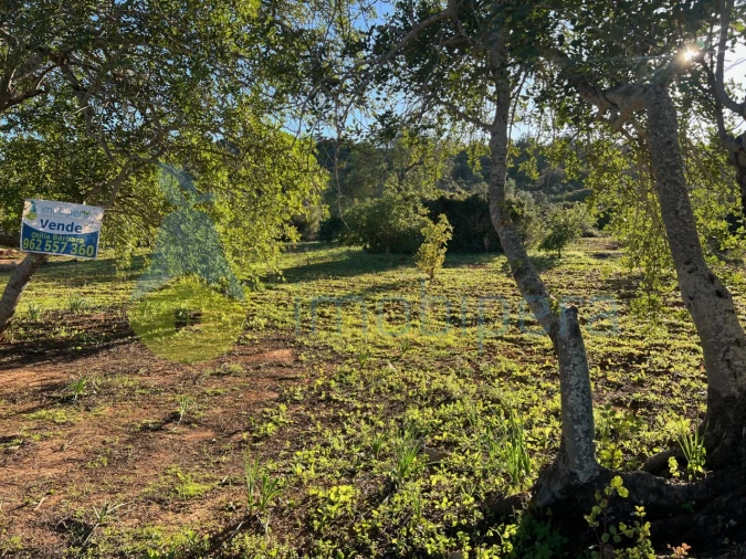 Terreno Agricola ou Rústico para Venda em Boliqueime Foto 3