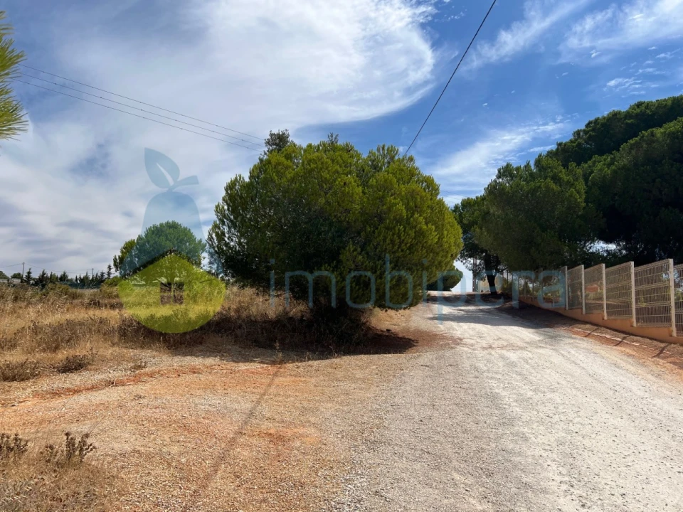 Terreno Agricola ou Rústico para Venda em Ferreiras Foto 30