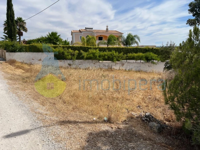 Terreno Agricola ou Rústico para Venda em Ferreiras Foto 5