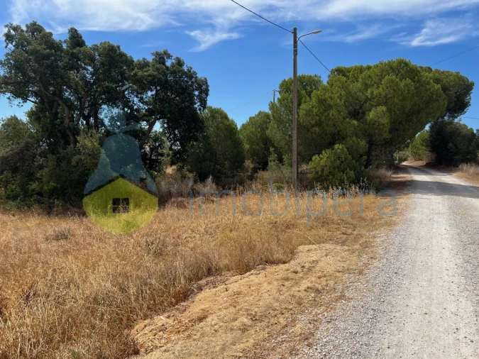 Terreno Agricola ou Rústico para Venda em Ferreiras Foto 14