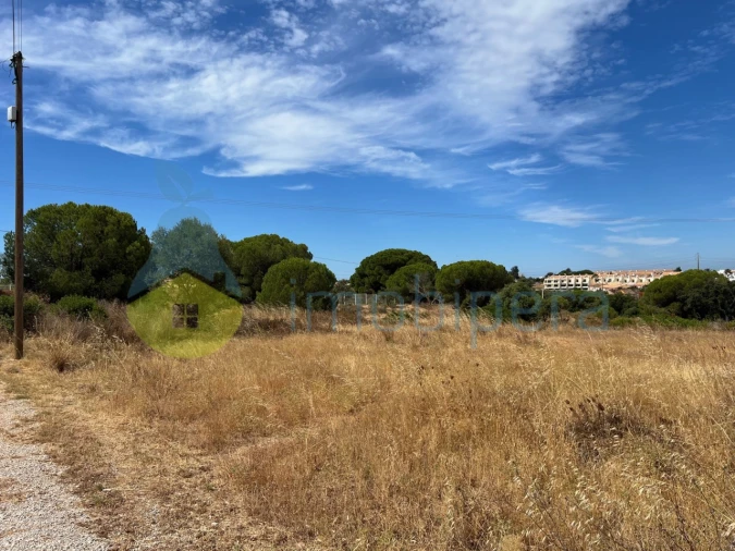 Terreno Agricola ou Rústico para Venda em Ferreiras Foto 18