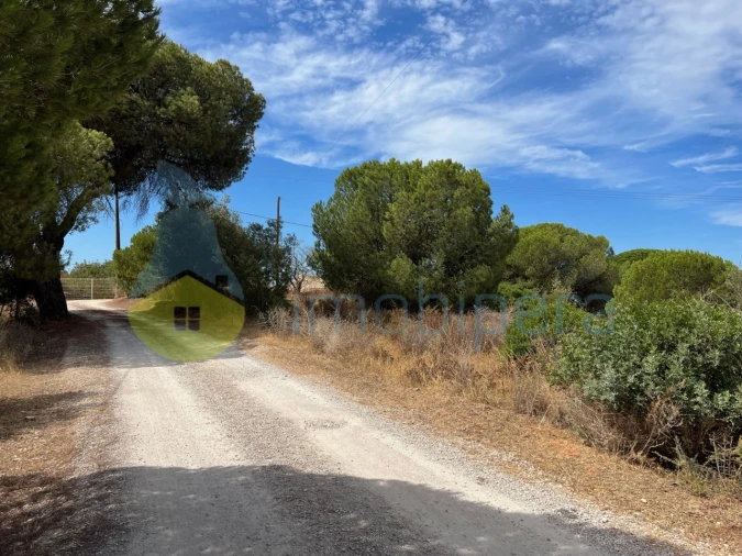 Terreno Agricola ou Rústico para Venda em Ferreiras Foto 6