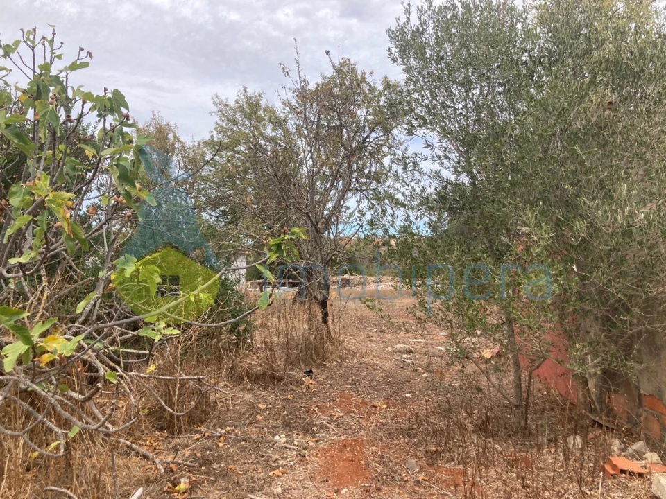 Terreno Misto para Venda em Paderne Foto 18