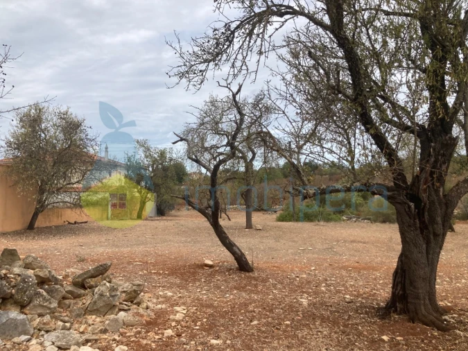 Terreno Misto para Venda em Paderne Foto 2