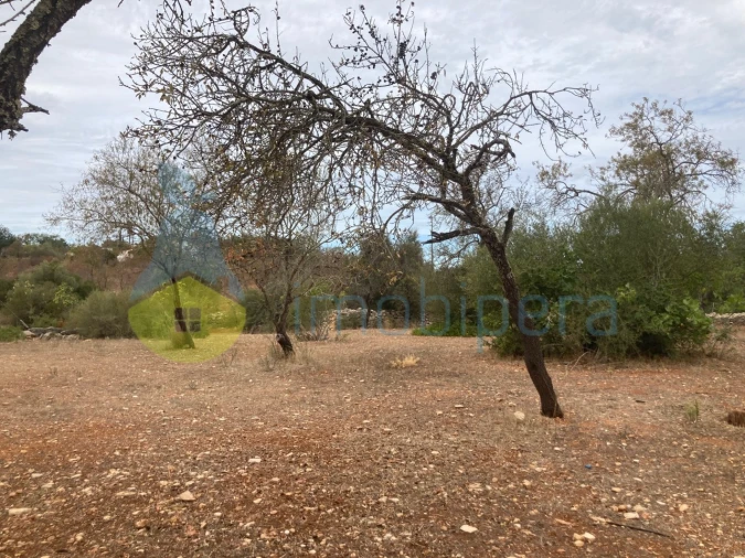 Terreno Misto para Venda em Paderne Foto 19