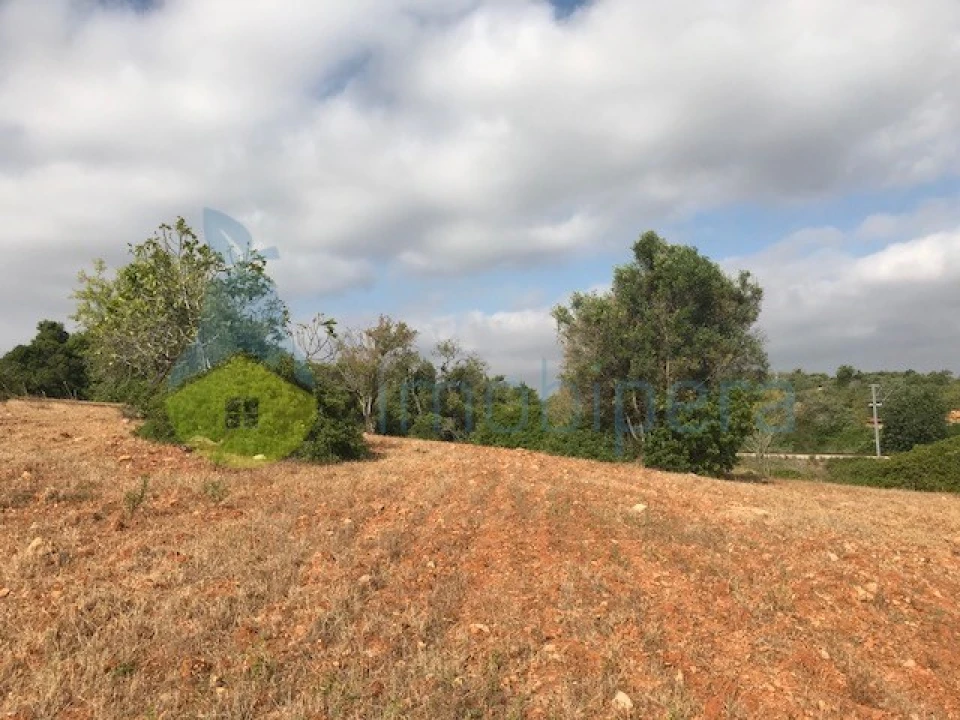 Terreno Agricola ou Rústico para Venda em Ferreiras Foto 2
