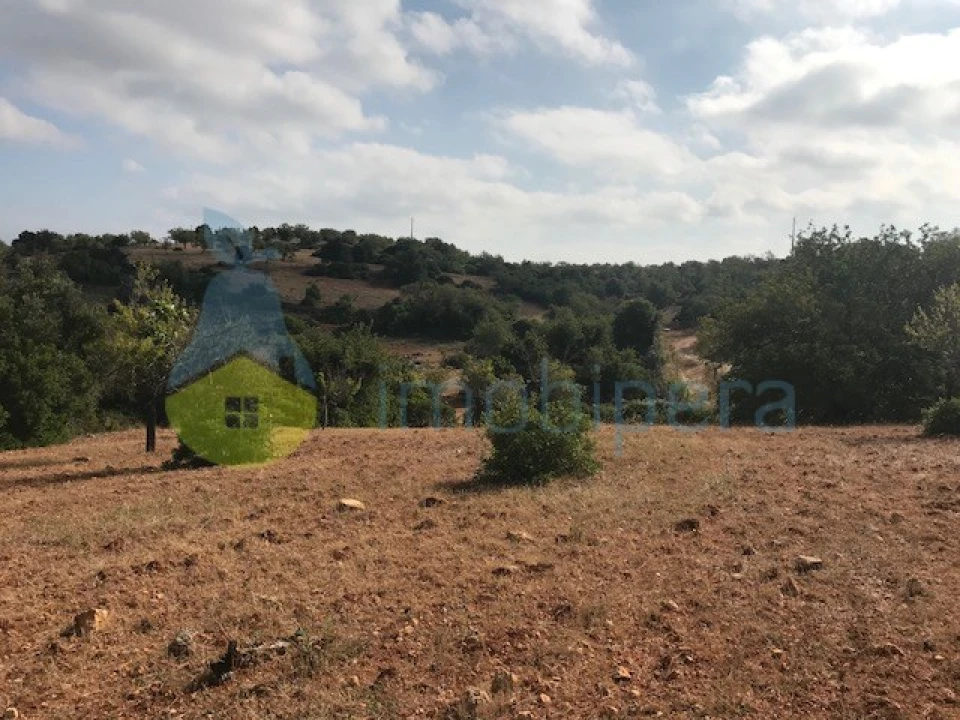 Terreno Agricola ou Rústico para Venda em Ferreiras Foto 6