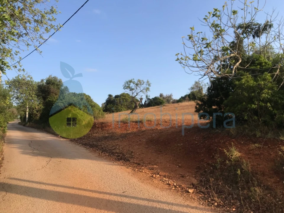 Terreno Agricola ou Rústico para Venda em Ferreiras Foto 13