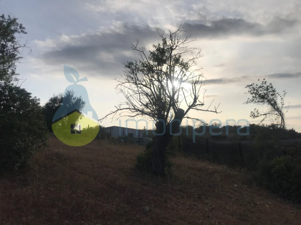 Terreno Agricola ou Rústico para Venda em Ferreiras Foto 20