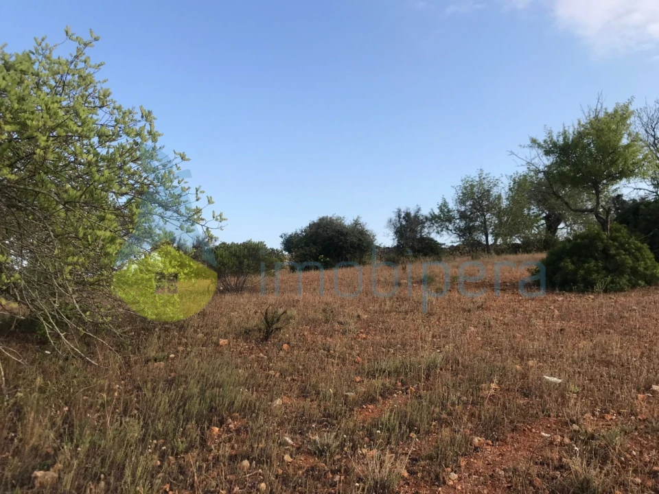 Terreno Agricola ou Rústico para Venda em Ferreiras Foto 25