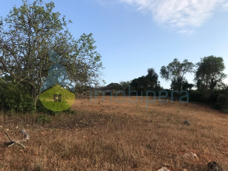 Terreno Agricola ou Rústico para Venda em Ferreiras Foto 28