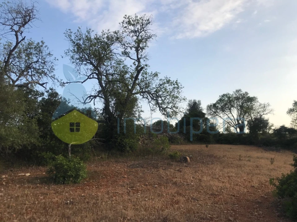 Terreno Agricola ou Rústico para Venda em Ferreiras Foto 29