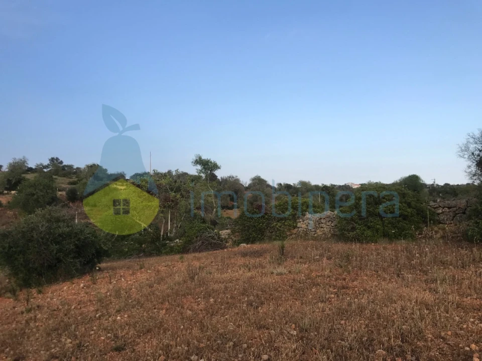 Terreno Agricola ou Rústico para Venda em Ferreiras Foto 31