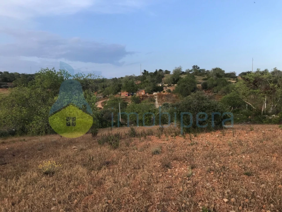 Terreno Agricola ou Rústico para Venda em Ferreiras Foto 33