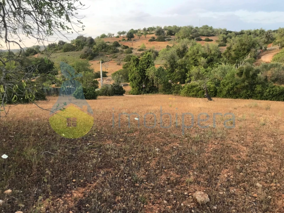 Terreno Agricola ou Rústico para Venda em Ferreiras Foto 36