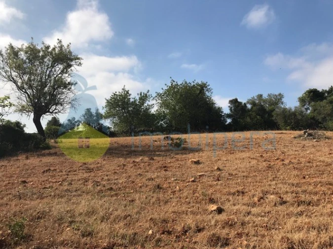 Terreno Agricola ou Rústico para Venda em Ferreiras Foto 5