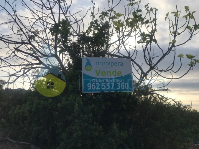 Terreno Agricola ou Rústico para Venda em Ferreiras Foto 17