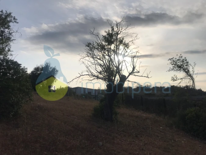 Terreno Agricola ou Rústico para Venda em Ferreiras Foto 20