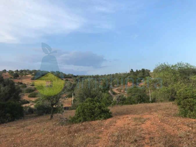 Terreno Agricola ou Rústico para Venda em Ferreiras Foto 27