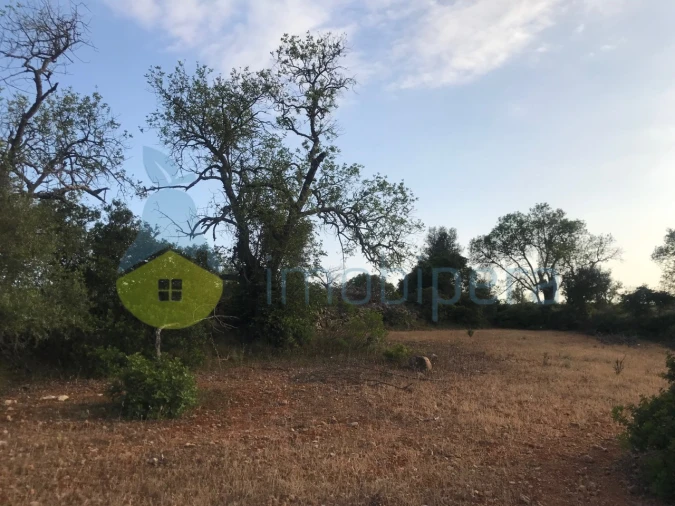 Terreno Agricola ou Rústico para Venda em Ferreiras Foto 29