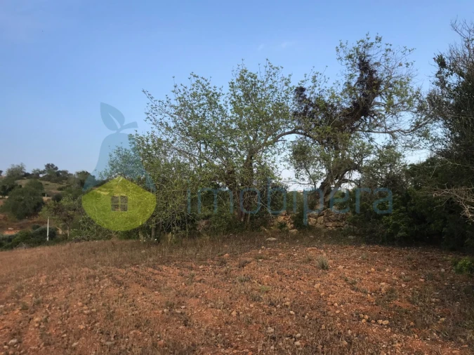 Terreno Agricola ou Rústico para Venda em Ferreiras Foto 30