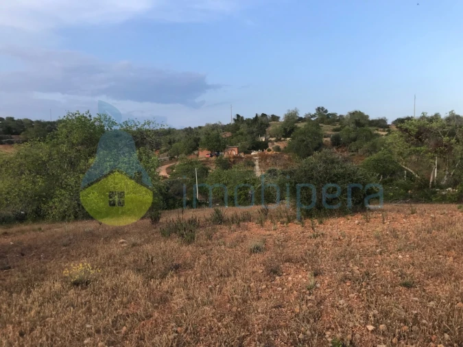 Terreno Agricola ou Rústico para Venda em Ferreiras Foto 33