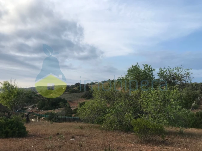 Terreno Agricola ou Rústico para Venda em Ferreiras Foto 34