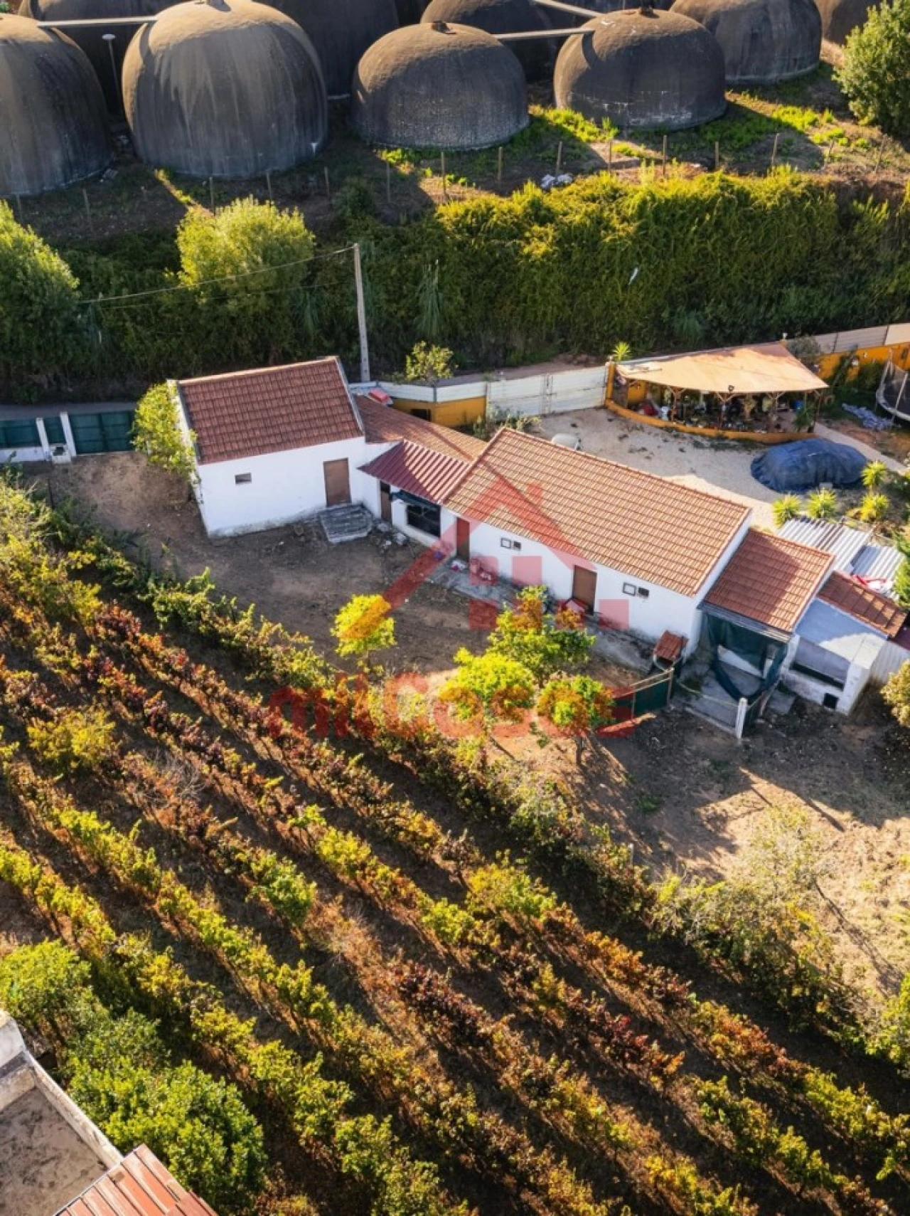 Armazém para Venda em Cadaval e Pêro Moniz Foto 2