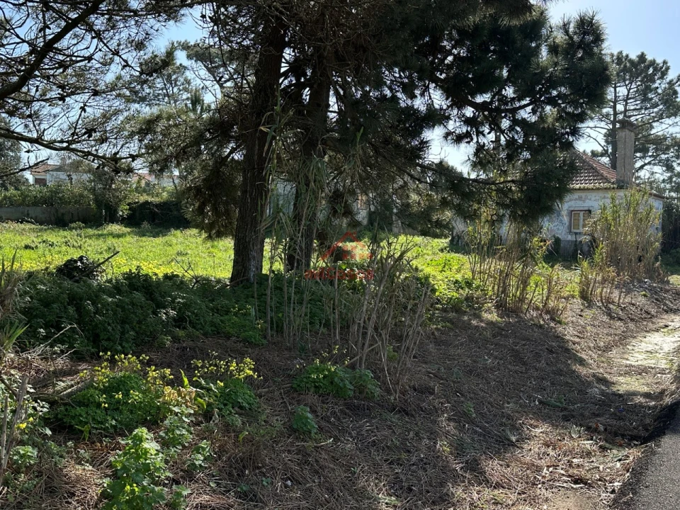 Moradia T4 para Venda em Mafra Foto 9