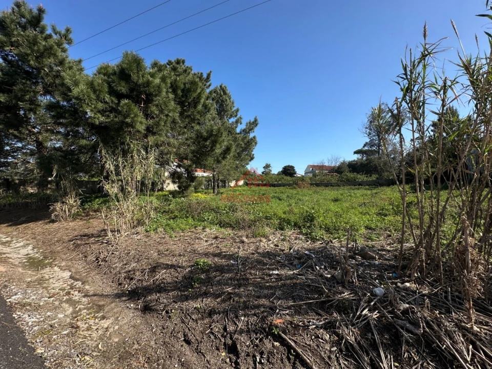 Moradia T4 para Venda em Mafra Foto 12