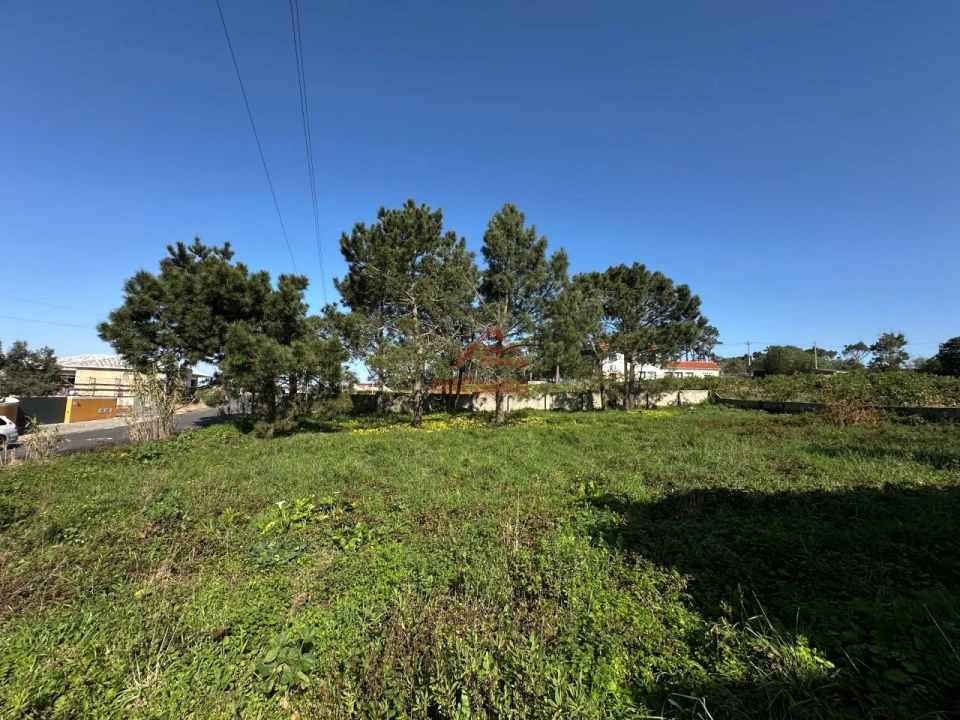 Moradia T4 para Venda em Mafra Foto 15