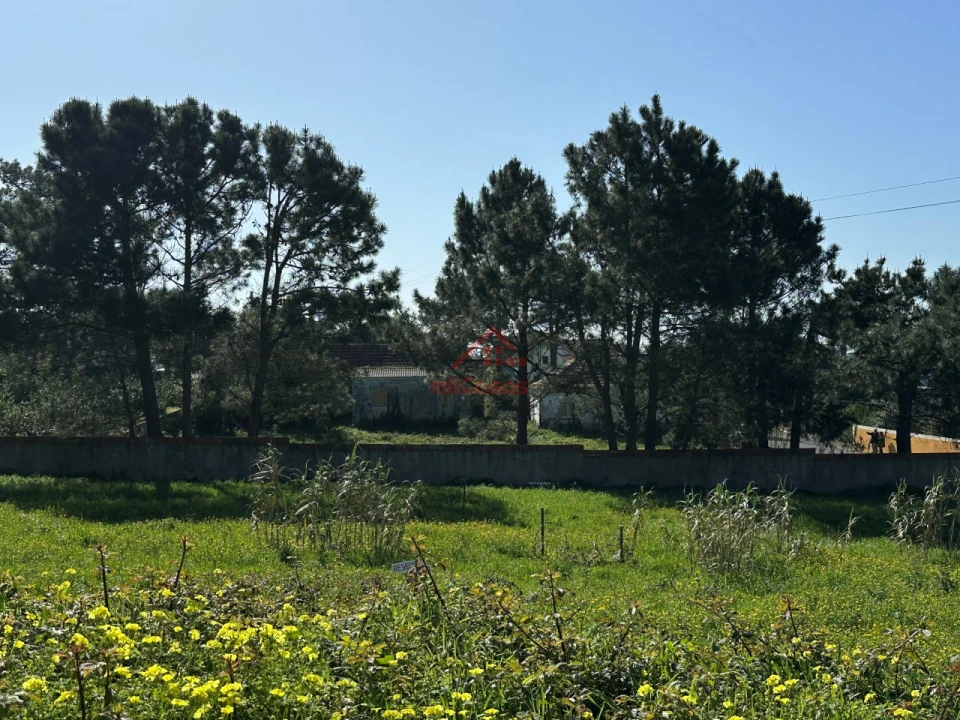 Moradia T4 para Venda em Mafra Foto 17