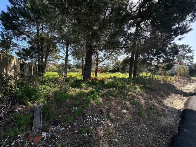 Moradia T4 para Venda em Mafra Foto 8