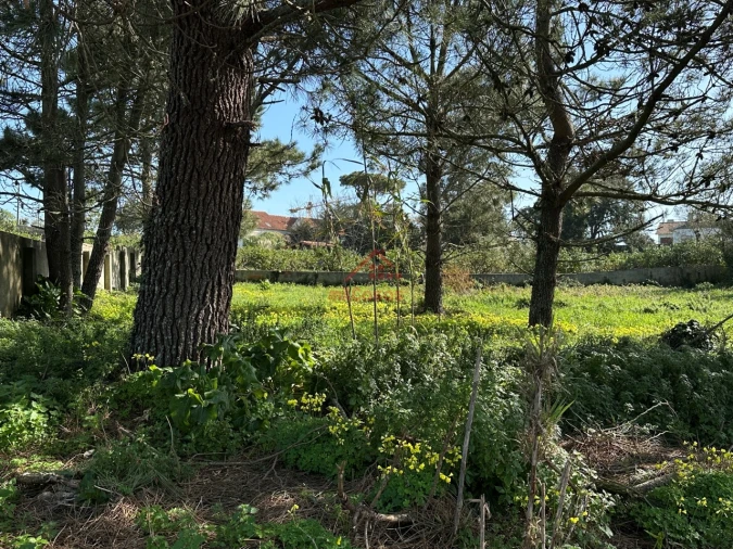 Moradia T4 para Venda em Mafra Foto 10