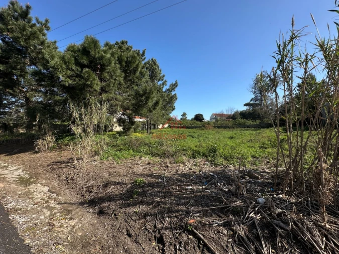 Moradia T4 para Venda em Mafra Foto 12