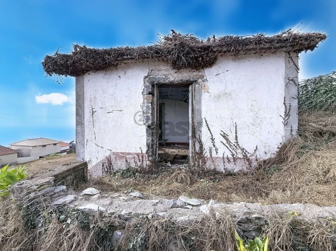 Moradia T3 para Venda em Arco da Calheta Foto 11