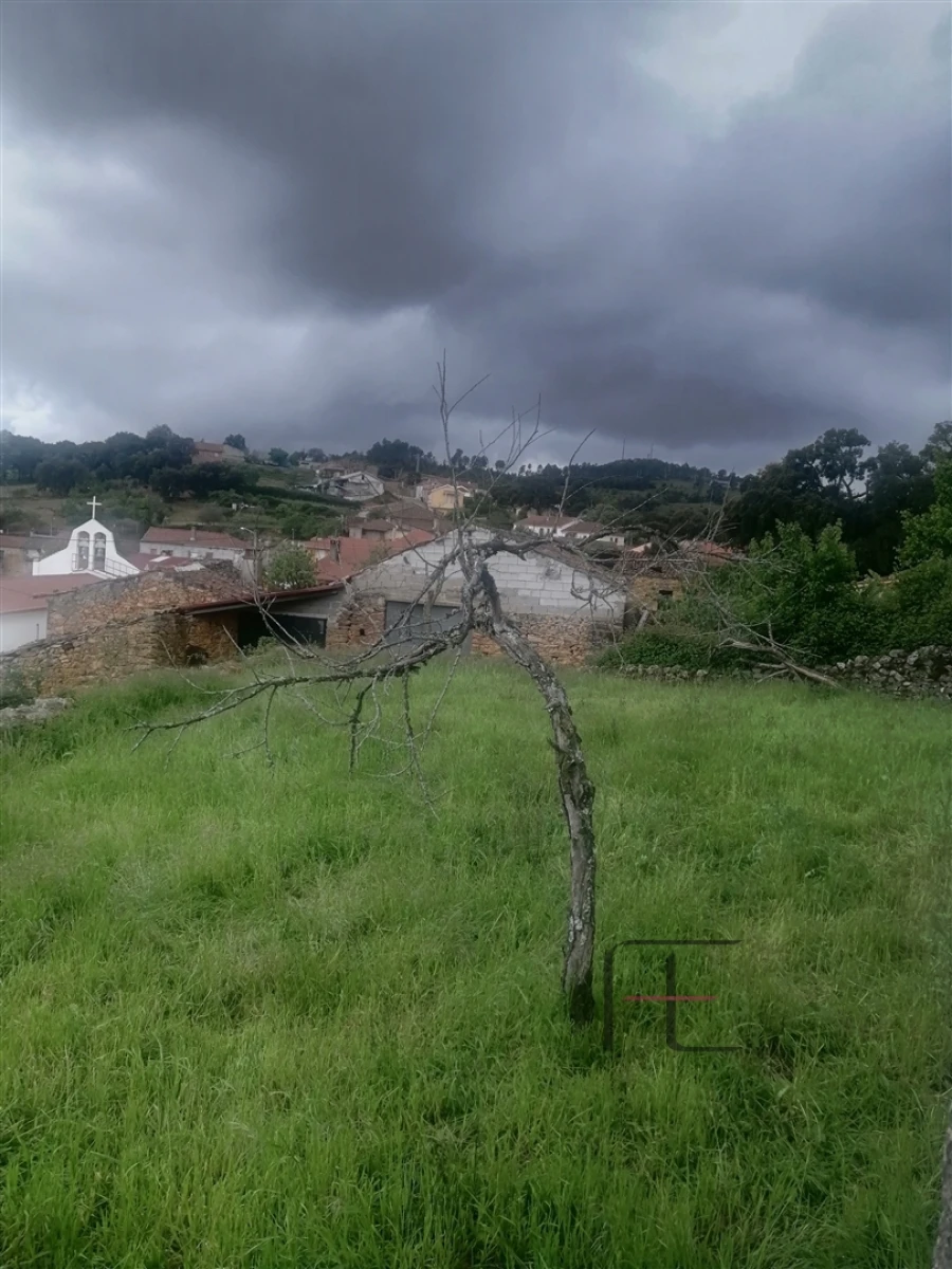 Moradia T3 para Venda em Mogadouro, Valverde, Vale de Porco e Vilar de Rei Foto 4