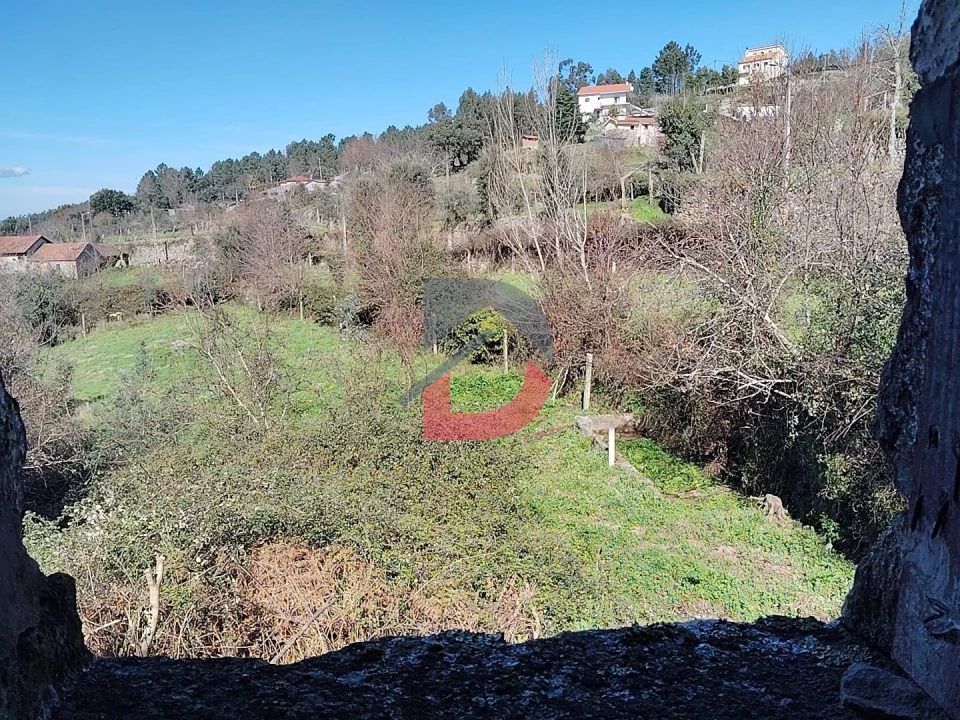 Terreno Agricola ou Rústico para Venda em Fornelos Foto 6