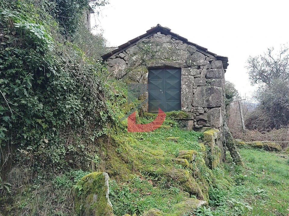 Terreno Agricola ou Rústico para Venda em Fornelos Foto 15